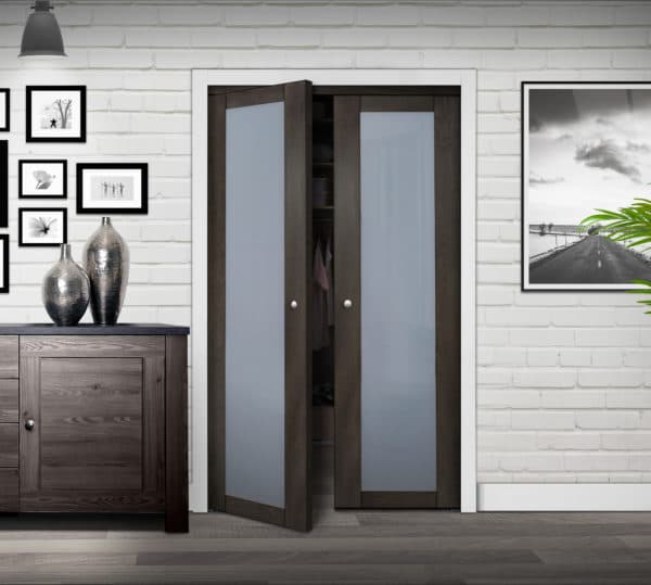 Euro 1-Lite Design Pivot Door