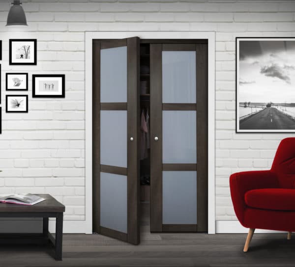 Euro 3-Lite Design Pivot Door